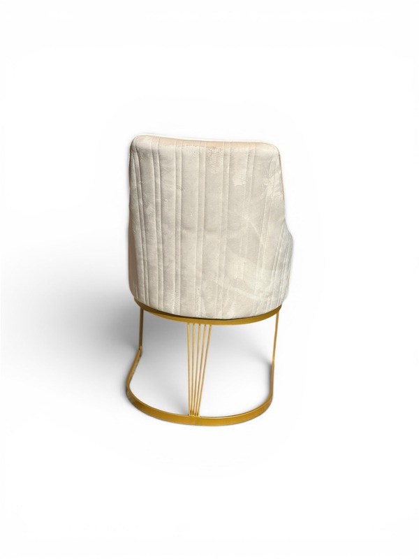 Catwick Dining Chair view 4
